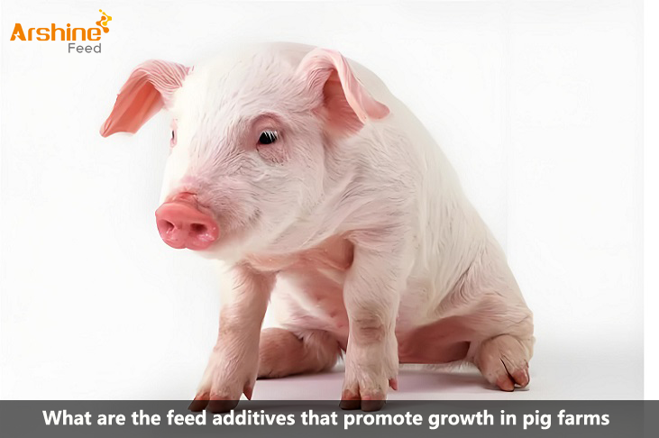 What are the feed additives that promote growth in pig farms