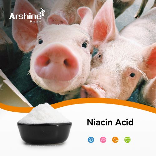 Niacin Acid/ Vitamin B3/CAS 59-67-6/Niacin