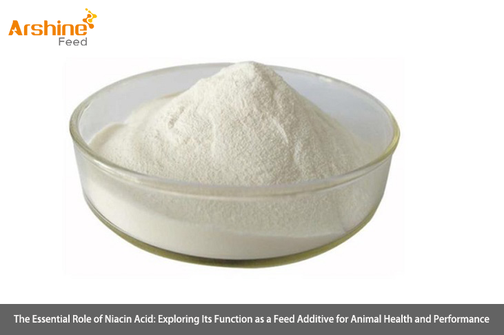 Niacin Powder