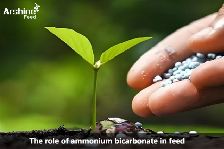 role of ammonium bicarbonate