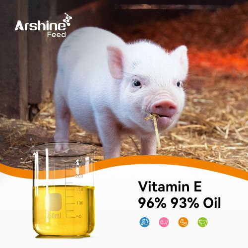 Vitamin E 96% 93% Oil/Vitamin E/Vitamin E Feed Grade