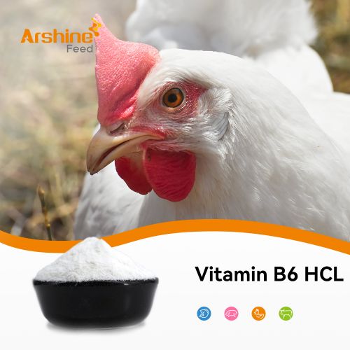 Vitamin B6 Hcl/ Vitamin B6 hydrochloride/Vitamin B6/Pyridoxine