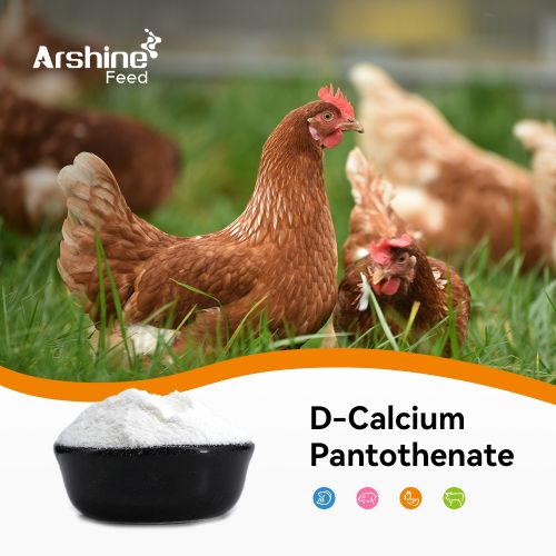 D-Calcium Pantothenate/Vitamin B5/Pantothenic acid