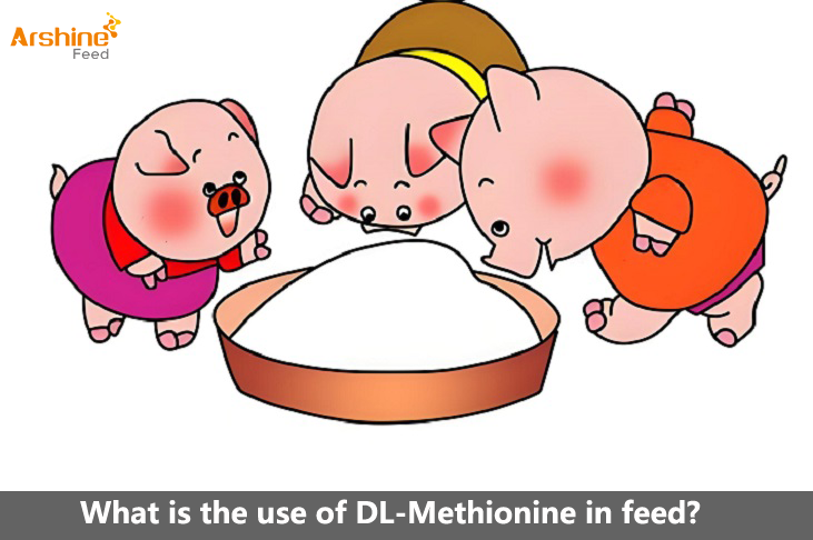 What is the use of DL-Methionine in feed?