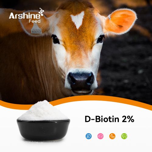 D-Biotin 2% Feed grade/Vitamin H/Coenzyme R/Vitamin B7(Vitamins)