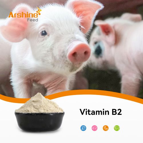 Vitamin B2/Riboflavin/CAS 83-88-5