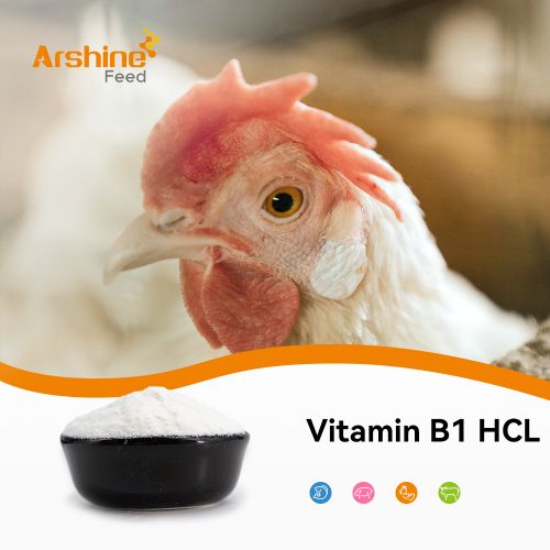 Vitamin B1 Hcl/Thiamine Hcl/Vitamin B1 hydrochloride/CAS 67-03-8