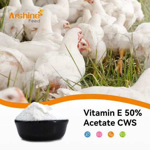 Vitamin E 50% Acetate CWS/ Vitamin E/Vitamin E Acetate