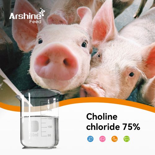 Choline chloride 75% Liquid Feed Grade