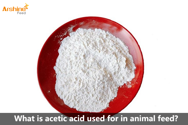 What is acetic acid used for in animal feed?