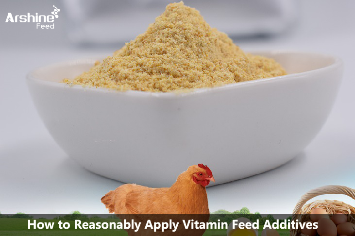 How to Reasonably Apply Vitamin Feed Additives