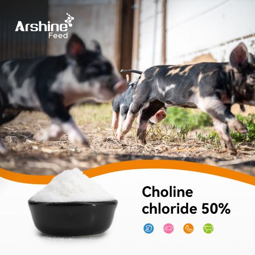Choline chloride 50% Silica Feed Grade