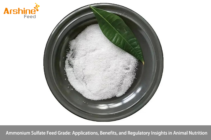 Ammonium Sulfate Feed Grade