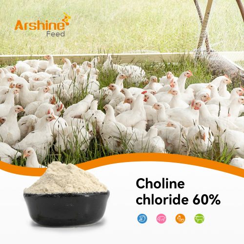 Choline chloride 60% Corn Cob Feed Grade