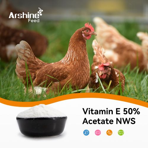 Vitamin E 50% Acetate Feed Grade NWS/ Vitamin E/Vitamin E Acetate
