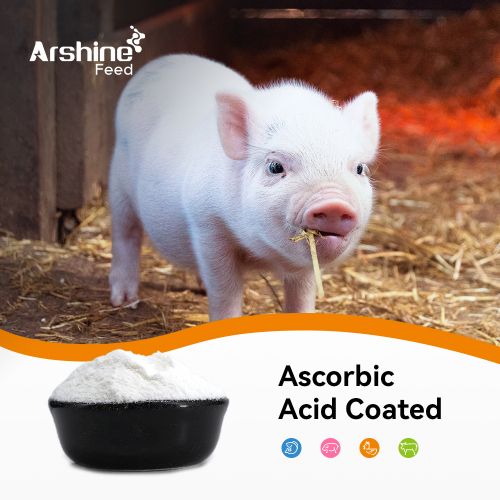 Ascorbic Acid Coated/Vitamin C Coated/L-ascorbic acid Coated