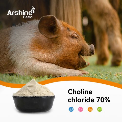 Choline chloride 70% Corn Cob Feed Grade