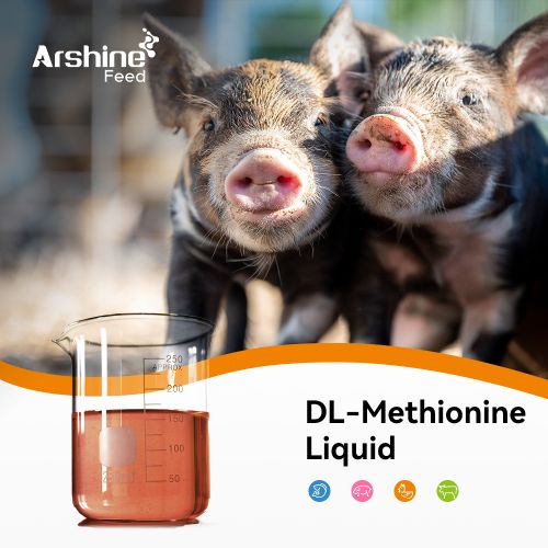 DL-Methionine Liquid