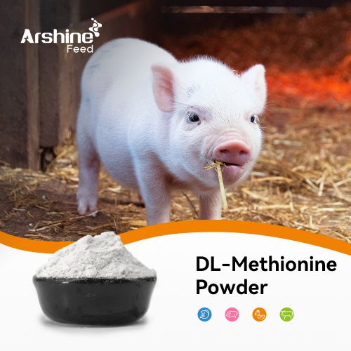 DL-Methionine Powder